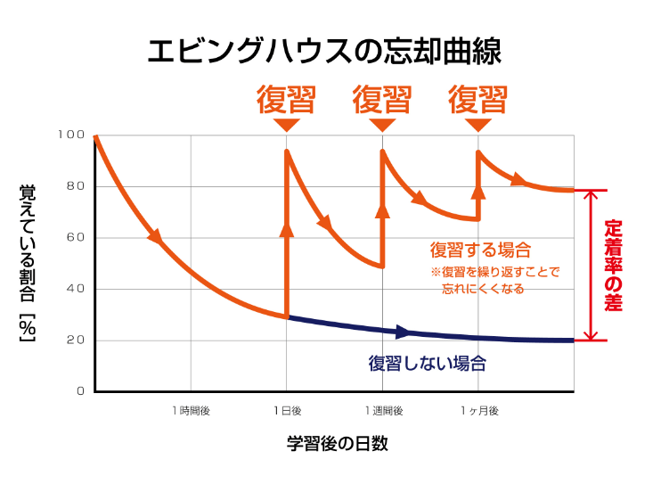 忘却曲線